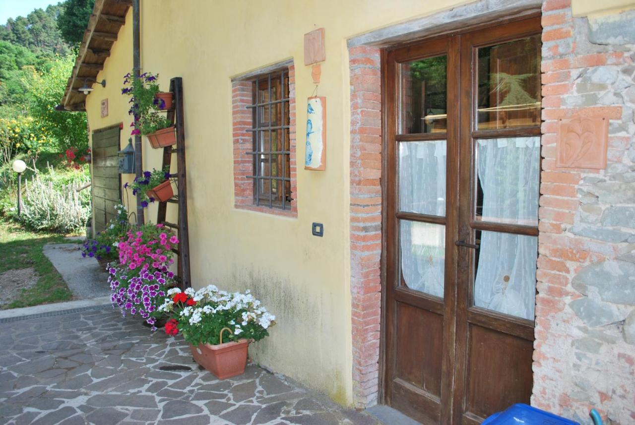 A Casa Del Tosi Villa Lucca Bagian luar foto