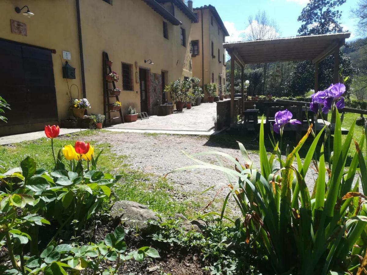 A Casa Del Tosi Villa Lucca Bagian luar foto